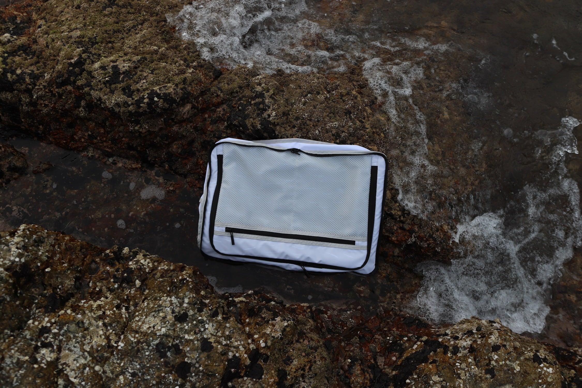 Lining front shell on wet rocks near shallow water.
